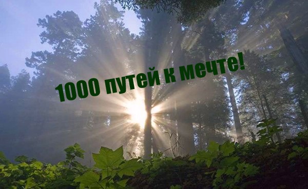 1000 путей